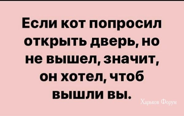 9d6f95930702f8ed63b7b2.jpg