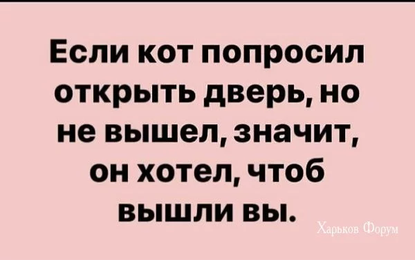 9d6f95930702f8ed63b7b2.webp