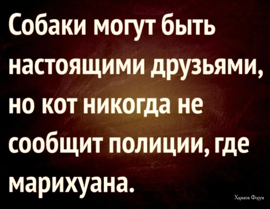 9d74205926ff3ef23b4c.webp