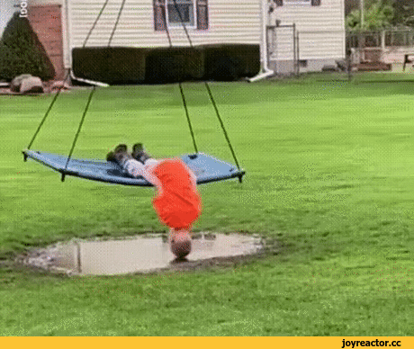 9d986a98c7161aed.gif