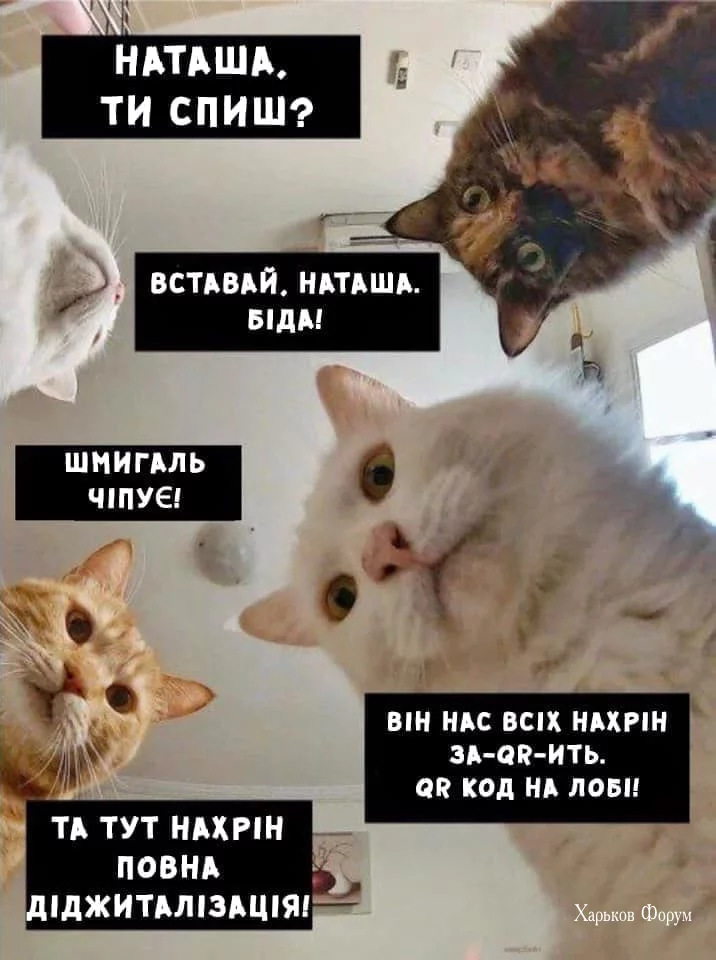 9dad13019ca88a49.webp