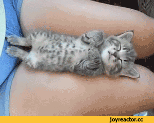 9db6ab00bd0e69583f9edd.gif