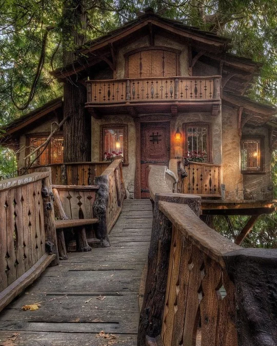 9dbach.webp