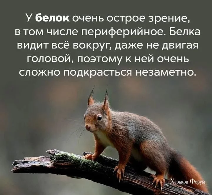 9dbbe045f7d6938468a.webp