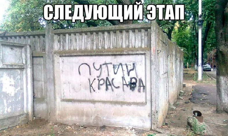 9dbjga.webp
