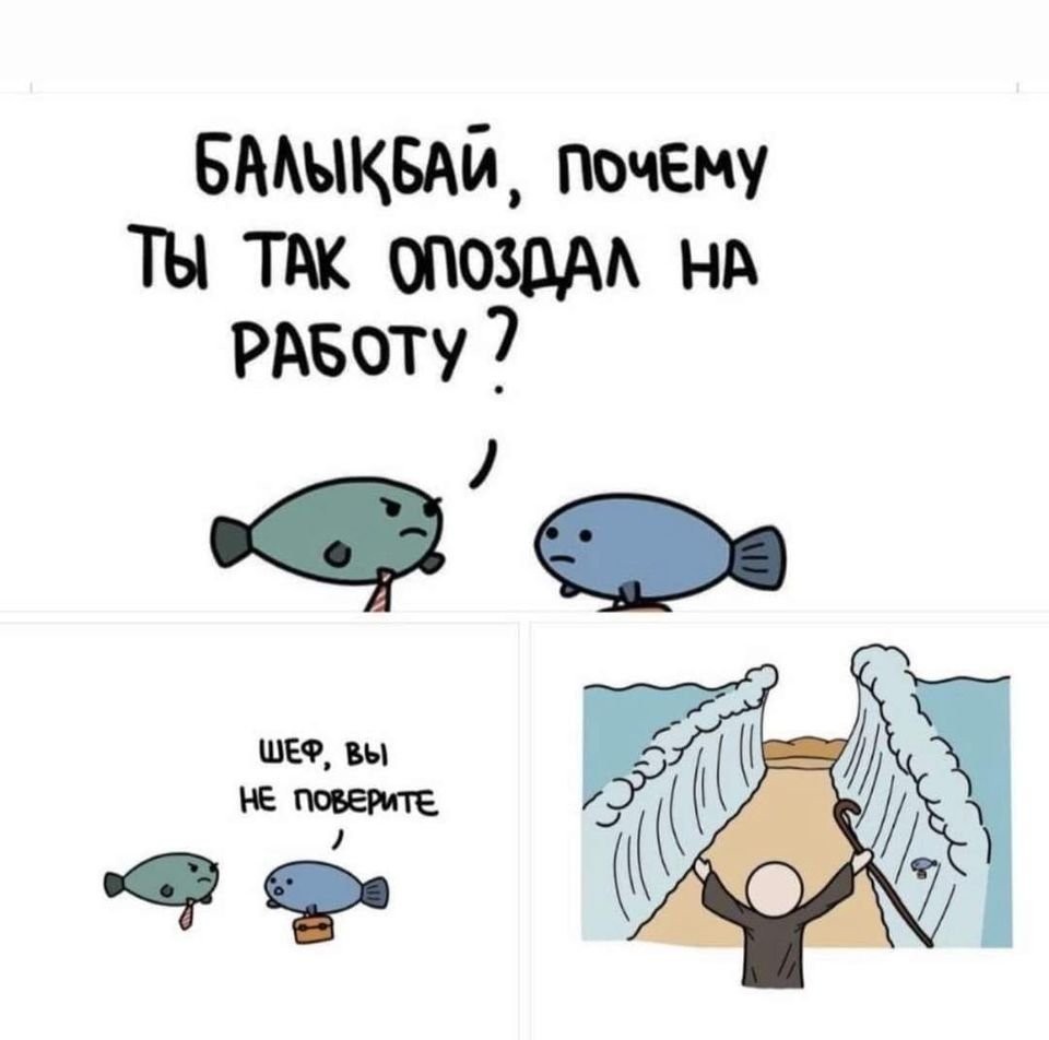 9dc27d3a98b27d0bd63da7e5.jpg