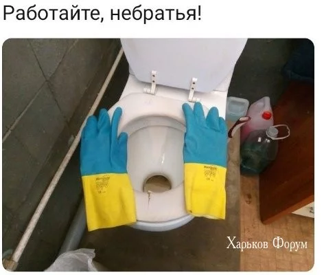 9dd23657474b9b46ad15822d.webp