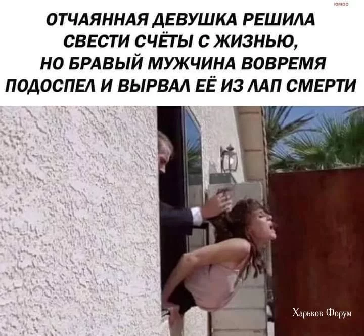 9dda953b993ec97d0eb9095.webp