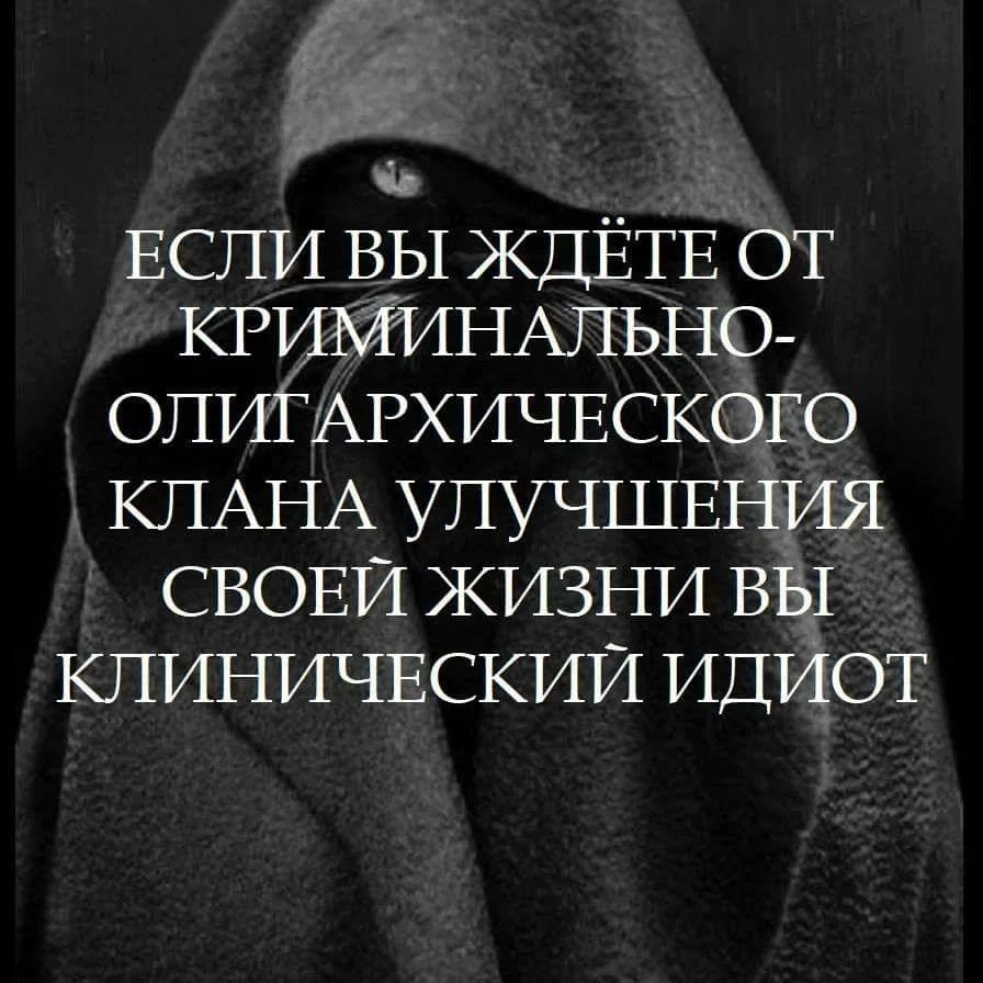 9ddhdj.webp