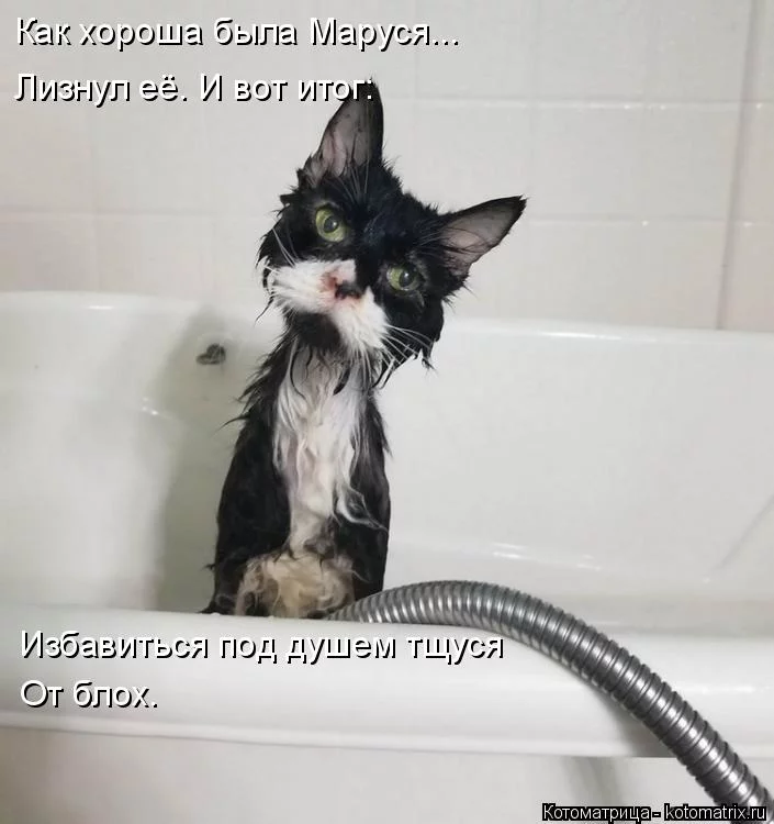 9dedcc.webp