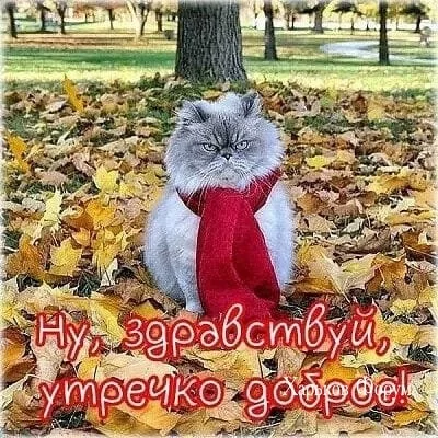9df27d427abd89eed708fe9.webp