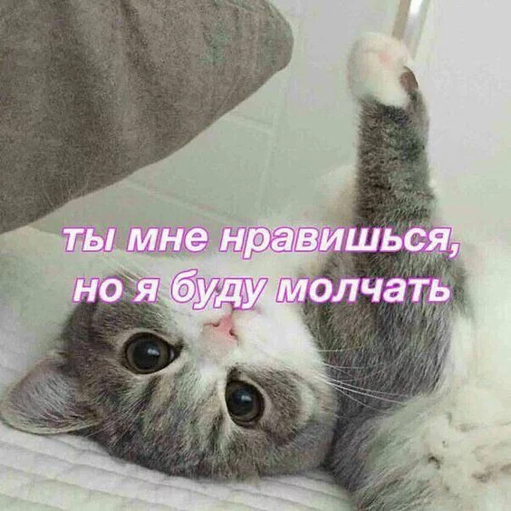 9dfcbd.webp