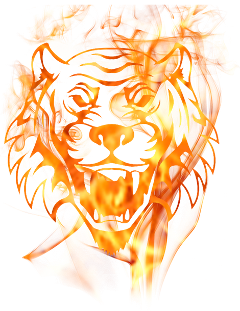9dffhg.png