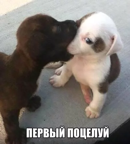9dfjhj.webp