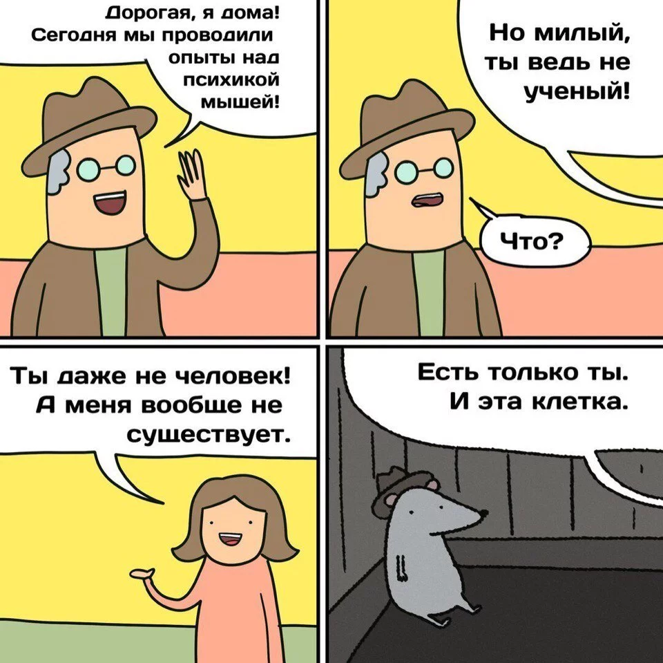 9dhdaj.webp