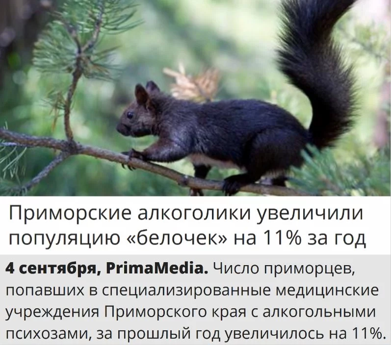 9dhjea.webp