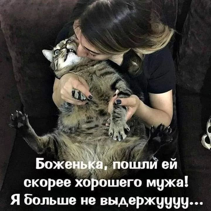 9djbec.webp