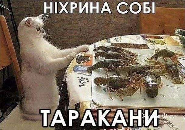9e10eed1b1d65ee0ba82188.webp