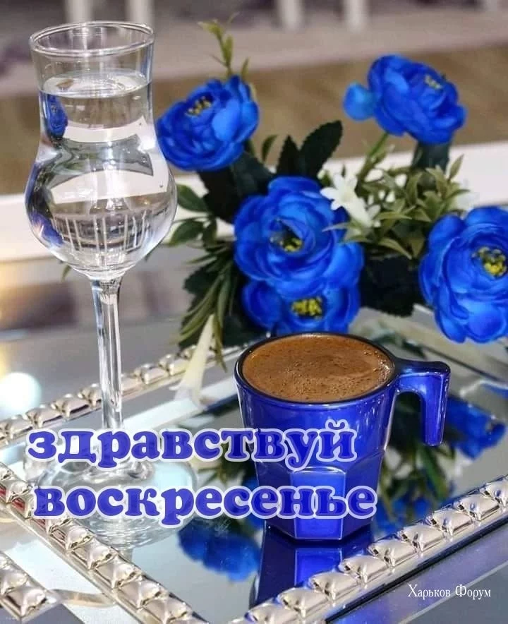 9e241a7711365261a10ed2.webp