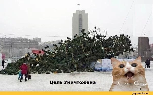 9e2cd14bd033ce34dba2a80.webp