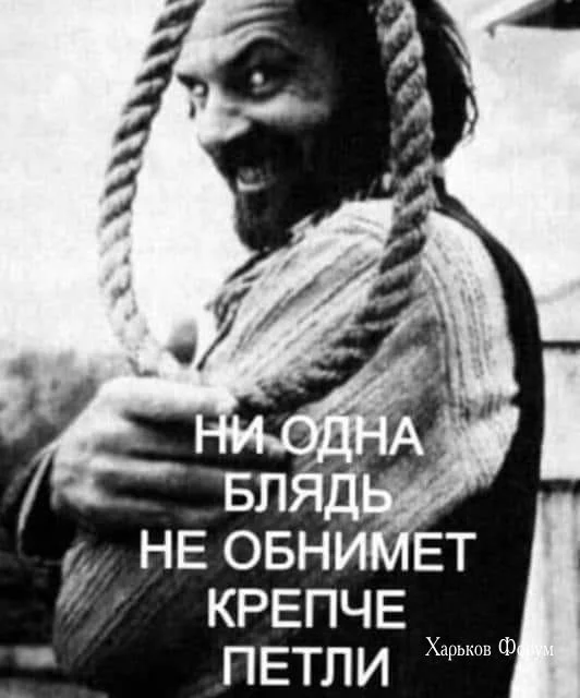 9e32783886e42133.webp