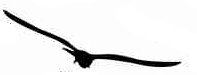 9e6447f3d065bc6ad61b7471da3d3d91.png