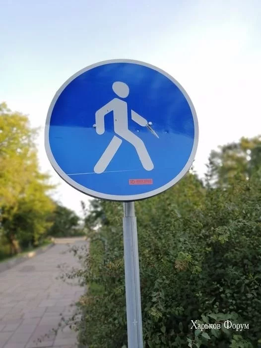 9e776b104950980401627f.webp
