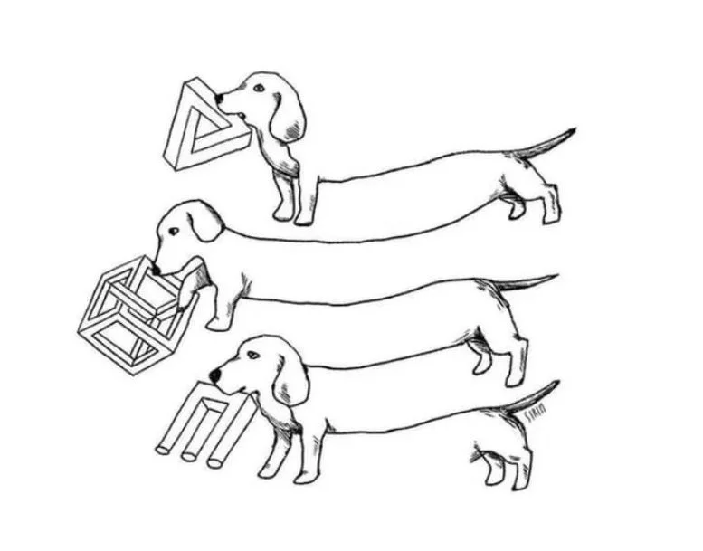 9e78c062ce7cea883afcf4.webp