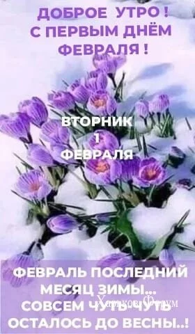 9e83e325a1109f927f92.webp
