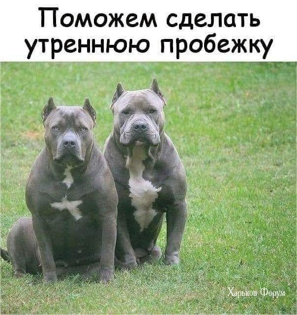 9ebe79ab0ece562f5.jpg