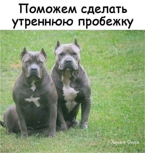 9ebe79ab0ece562f5.webp