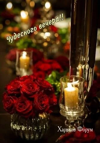 9ec713528dfde5ccf063e.webp