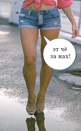9ed99fc2c5ea0cb2b465e5a37a05808f.webp