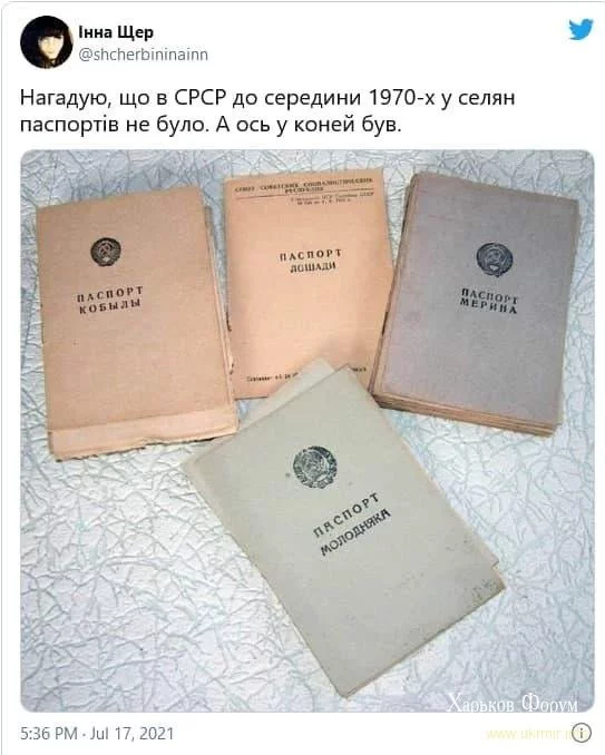 9ee747a5363860eb.webp