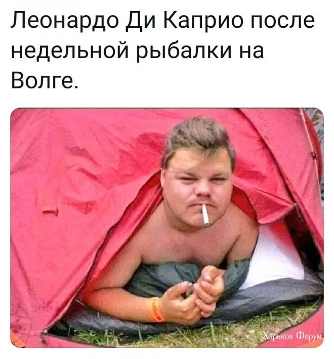 9ef03789f6fb5fbe0.webp