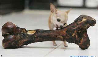 9egdhd.webp