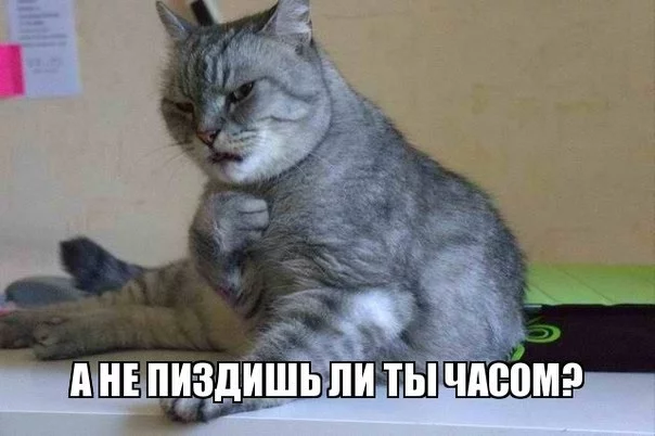 9EWOwEanBLY.jpg