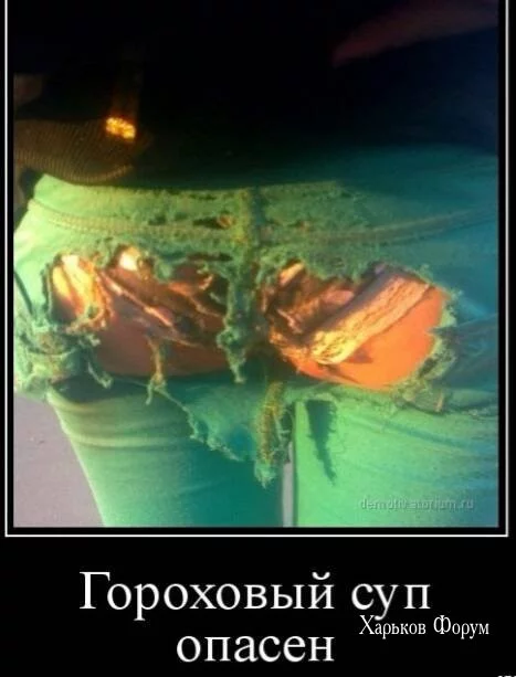 9f004ee7aa2d88080f29.webp