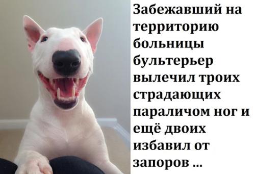 9f18b1ee0b6733832d2ea430a97327d1.jpg