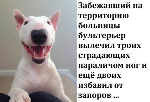 9f18b1ee0b6733832d2ea430a97327d1.webp