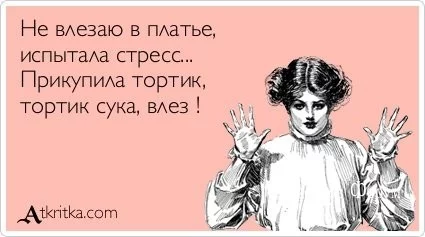 9f3353680a6bb761e10d6.webp