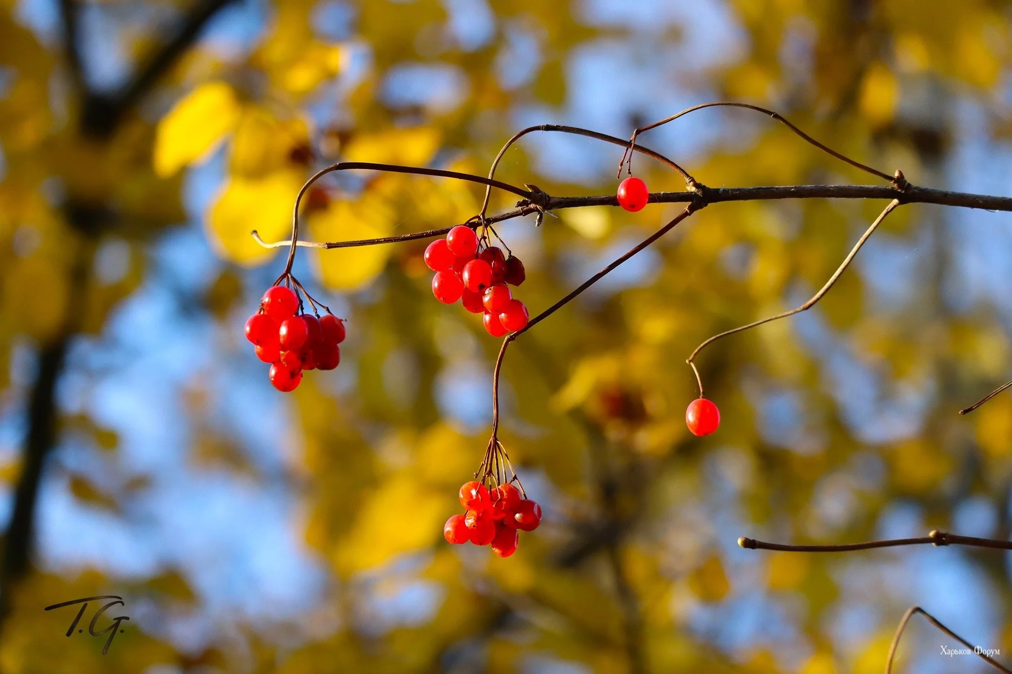 9f4121cce8f187f74cd626.webp