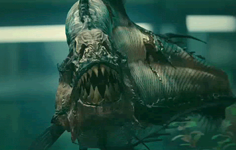 9f412e964ad094c4.gif