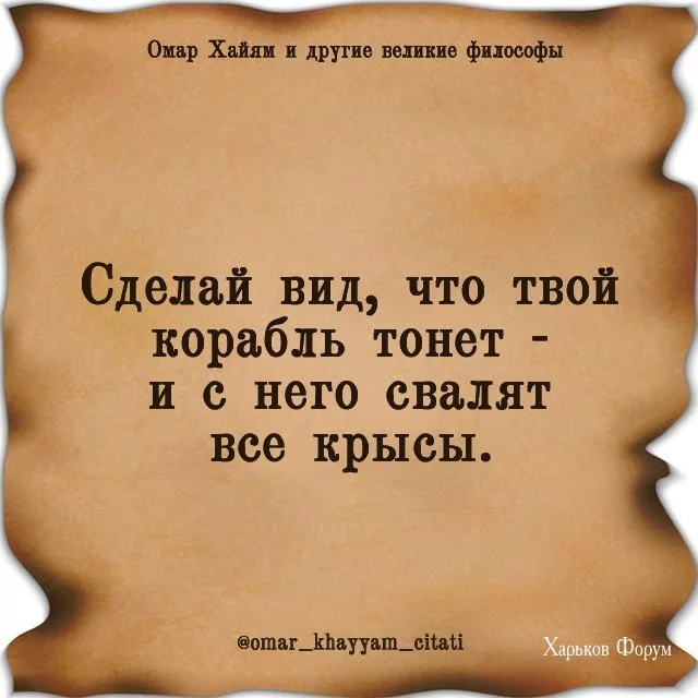 9f51d67e1f735489fd4a0fdc.webp