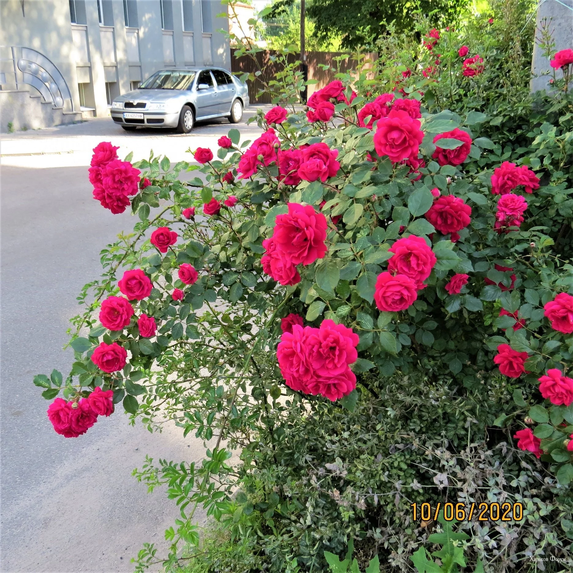 9f5be765af6975fccf204.webp
