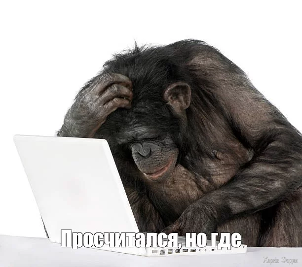 9f6c50b2d354920c64b6ae05917198f6.webp