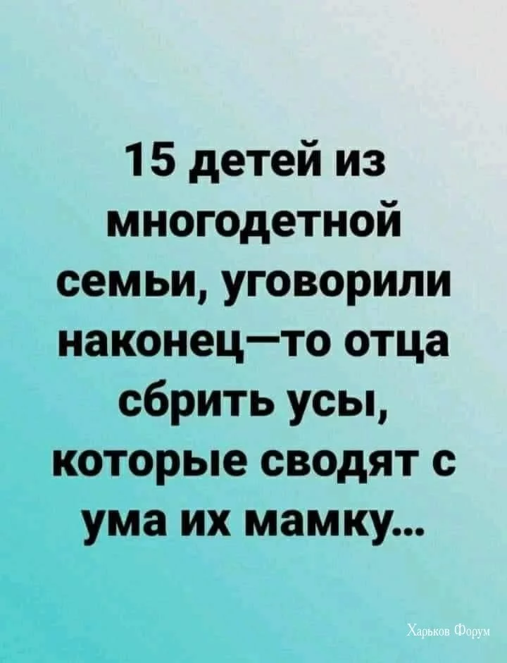 9f6f7902211341a68a6.webp