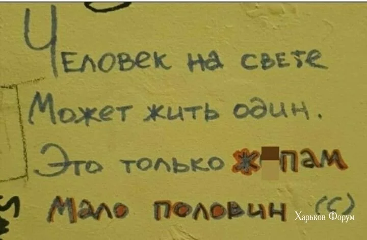 9f7b79e3f92e9bd41677a2e6.webp