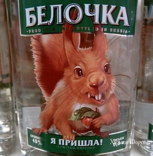 9f80ac1129c9815f5.webp