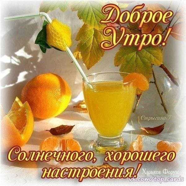 9f82fbef2484402bac533.webp